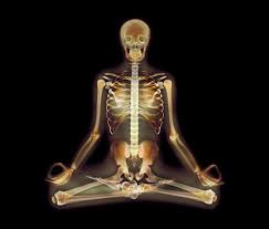 Pin On Yogini