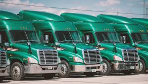 Image result for Light Green 2018 Fleet
