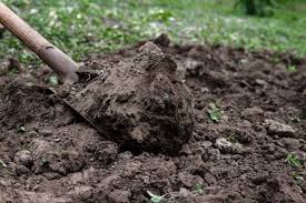 There are other brands but this is a great shovel and built tough. 6 Best Metal Detecting Shovels In 2021 All Budgets