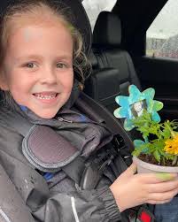 S.W. Collins Company