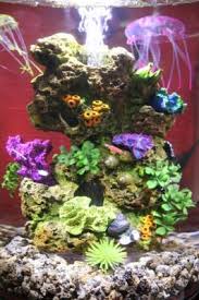 Check spelling or type a new query. Top Fin Coral Plant Rocky Aquarium Ornament Fish Ornaments Petsmart