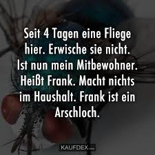 fliegen lustig witzig bild bilder spruch spruche kram lustige zitate und spruche urkomische zitate lustige zitate