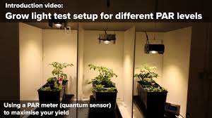 Growing better and more efficiently has never been easier than it is with our sunblaster led strip lights as your lighting source for most any indoor growing application. Grow Light Test Setup Of Different Par Ppfd Levels Youtube