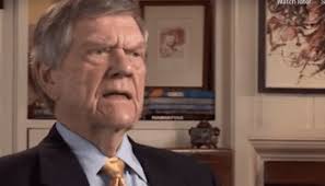 Donna Williams joins CJRW