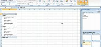 How To Summarize Budget Data Via Pivottable In Ms Excel 2010