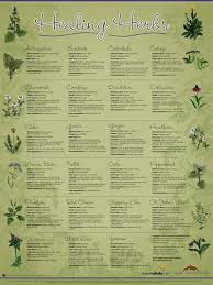 Healing Herbs Wall Chart Free Aaa Quick Reference
