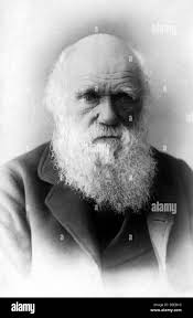 Evolution of man darwin hi-res stock photography and images