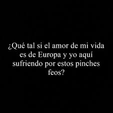 El Amor De Mi Vida Posibilidad Frases Graciosas Frases Sarcasticas Graciosas Memes Divertidos