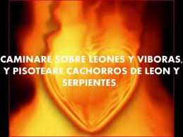 ¡yo decreto abundancia, prosperidad y riqueza! Afirmacion Decreto Para La Abundancia Y La Prosperidad En Tu Vida Youtube