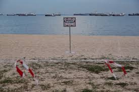 A thai bay that was made famous by its appearance in the film the beach is to remain closed until 2021. Coronavirus All Beaches In Singapore Closed To Public As Circuit Breaker Measures Tightened Singapore News Top Stories The Straits Times