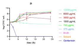 Image result for Dissotis swynnertonii