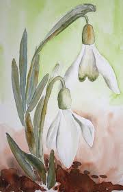 Aquarell Schneeglockchen Google Suche Blumen Malen Aquarellmalerei Aquarell