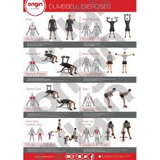 origin dumbbell exercise poster