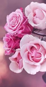 34 Amazing Wallpaper For Iphone X Iphone Wallpaper Iphone Background Iphone Wallpaper Tumblr Iphone Floral Wallpaper Iphone Flower Wallpaper Rose Wallpaper