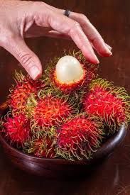 Pokok rambutan boleh mencapai ketinggian sehingga 20m dan mempunyai kanopi yang rimbun dan rendang. Pokok Rambutan Anak Sekolah Online Nursery No 1 Malaysia Facebook