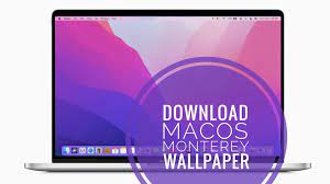Trending all mac wallpapers > monterey bay mac wallpaper. 62xix388cuwf6m