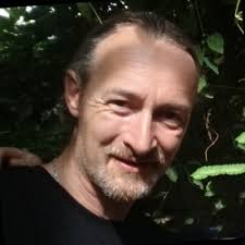 can anyone recommend a landscape in roof system?