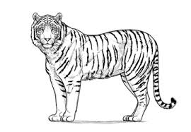 Check spelling or type a new query. Bagaimana Menggambar Orang