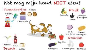 Pin Op Hondenvoeding