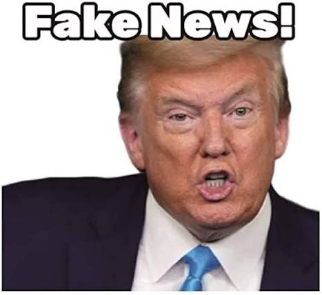 Donald Trump Toilet Paper Roll with Fake News Meme, Soft 3-Ply Funny TP with 200 Sheets, Black and White Print, Best Political Gag Gift for Democrats and Republicans, 1 Roll : Amazon.ae: Health