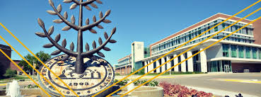 Cehd Inclusion And Diversity Committee College Of Education And Human Development Western Michigan University