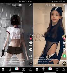 TikTok抖音国际版v23.6.4，无视封锁和下载限制，保存视频无水印！ | i3综合社区