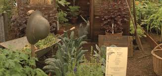 Jardin Potager Vivace ou Perpétuel
