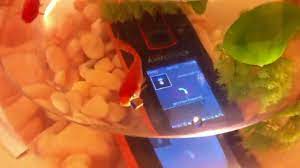 Huawei D51 Discovery underwater test ...