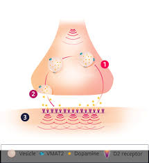 Image result for Valbenazine