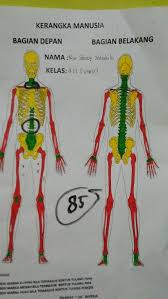 We did not find results for: Rangka Manusia Quiz Quizizz