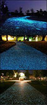 How Is Your Driveway Looking Your Projects Obn Backyard Lighting Backyard Outdoor