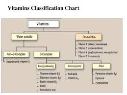 Vitamins Classification Chart Niacin Vitamin Vitamin B