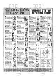 Gold S Gym Workout Chart Pdf Sport1stfuture Org