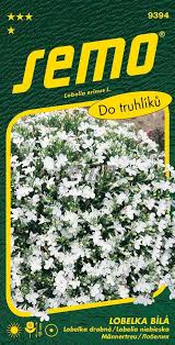 Image result for foto Lobelka