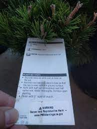 The great weight of evidence indicates that glyphosate is not known to cause cancer, the judge said. In California Trees Have A Prop 65 Cancer Warning American Council On Science And Health