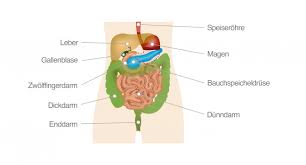 Laut statistik sind 90% der patienten über 50 jahre alt, wenn sie die diagnose darmkrebs bekommen, der großteil davon sogar deutlich älter. Darmkrebs Risikofaktoren Symptome Behandlung Pflege De