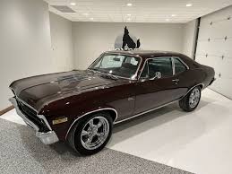 Image result for Dyna Brown 1972 Fleet