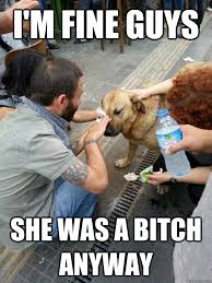 Image result for Im fine meme