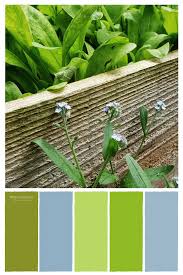 This color combination has an outdoor feel to it, like a summer baseball game: Rural Colour Snapshots Green Palette Green Colour Palette Blue Colour Palette