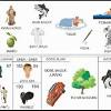 Check spelling or type a new query. 1