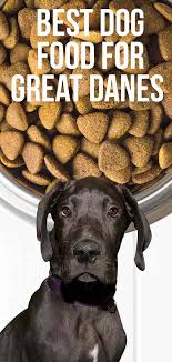 Great danes are truly the gentle giants of the dog world. Best Dog Food For Great Danes And Other Large Breeds