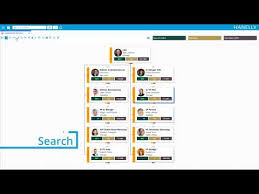 Nakisa Hanelly Org Chart Demo Youtube