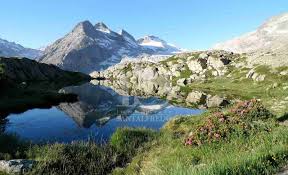 Appartamento in vendita madonna di campiglio inserisci il tuo indirizzo email per ricevere avvisi quando saranno disponibili nuovi annunci per appartamento in vendita madonna di campiglio. Madonna Di Campiglio Appartamento Gran Panorama Immobiliare Santalfredo