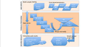 Vipie Web Flow Chart For Efficiency Sample Based Paired