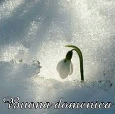 Una selezione speciale con contenuti tutti da scaricare. Buona Domenica Invernale Paesaggi Natura Natura Meravigliosa
