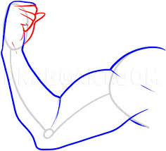 How To Draw A Muscle Step By Step Drawing Guide By Dawn Dragoart Com Muscle arm biceps cartoon , muscles, black silhouette illustration png clipart. how to draw a muscle step by step