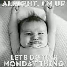 Lovethispic's pictures can doing this will save the funny monday quotes picture to your account for easy access to it in the. 340 Monday Humor Ideas In 2021 Monday Humor Monday Quotes Monday