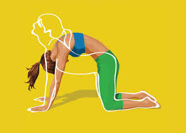 Webcam video from september 27, 2014 04:11 pm. 10 Yoga Poses That Help With Digestion Workout Trends