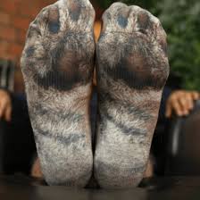 Cat lovers are going crazy over this window mounted cat hammock!😍🐱. Confuse Your Cat With These Realistic Paw Socks