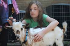 Animal Encounters: Little Starr Farm Petting Zoo